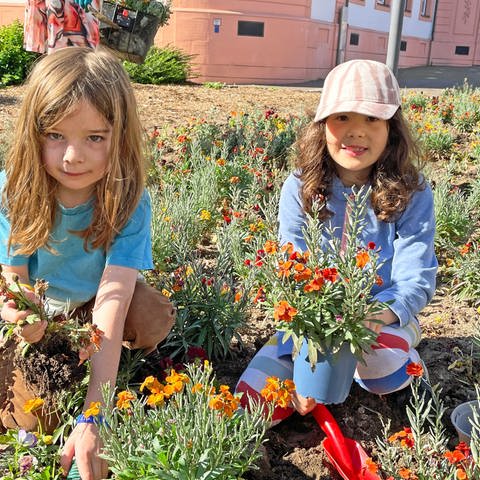 Zwei Kinder knien in einem Blumenbeet in der Mainzer Innenstadt und buddeln Pflanzen aus. Die dürfen sie kostenlos mit nach Hause nehmen.