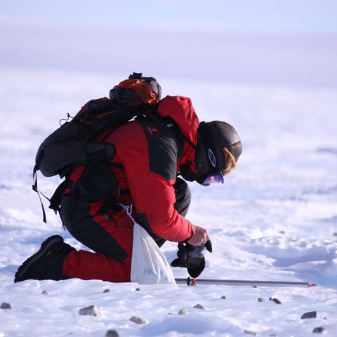 Ein Forscher kniet auf dem Eis. 