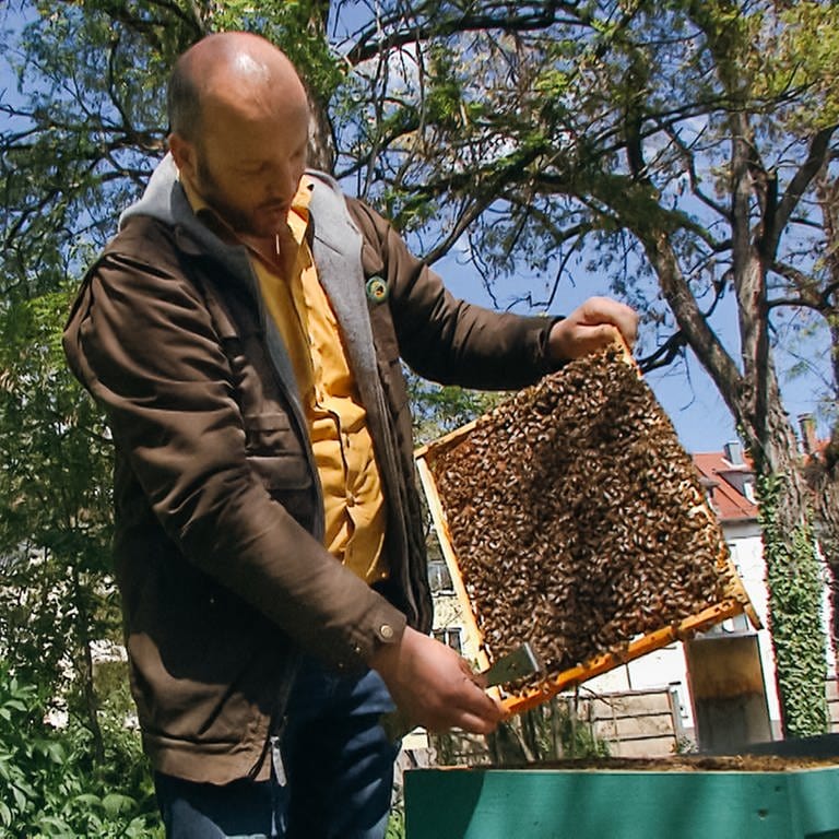 Berufsimker Tobias Miltenberger an einem seiner Bienenkästen in Stuttgart (Foto: SWR)