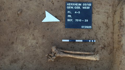 Herxheim, Skelettreste: Unterschenkel mit Fuß