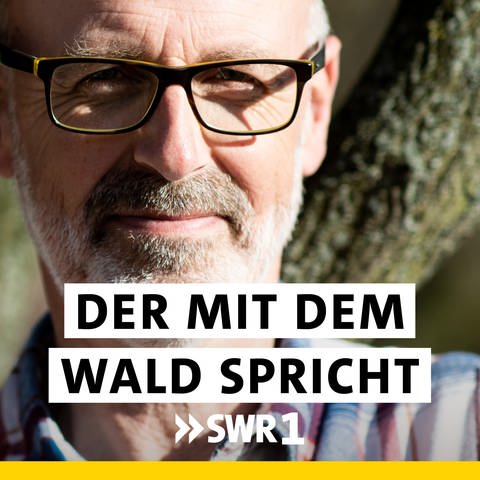 Peter Wohlleben - Der mit dem Wald spricht (Foto: SWR)
