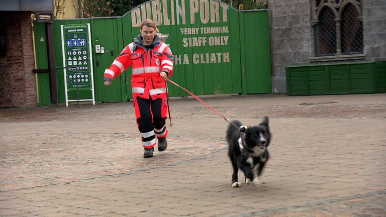 Rettungshündin Coco führt Hundeführerin Sabrina Risse zu einem Fundort (Foto: SWR)