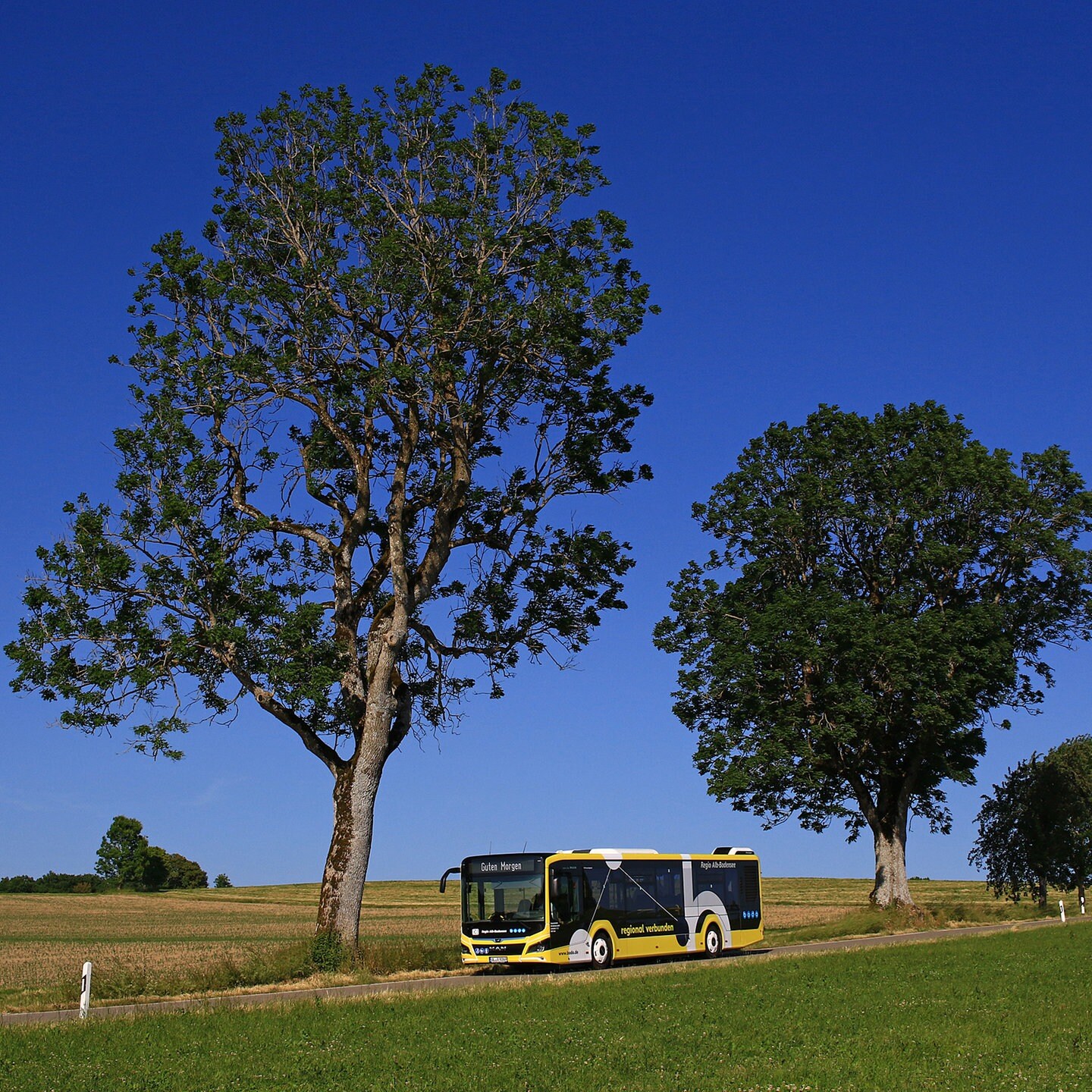 Immer Noch Viele Busausf Lle Am Bodensee Swr Aktuell