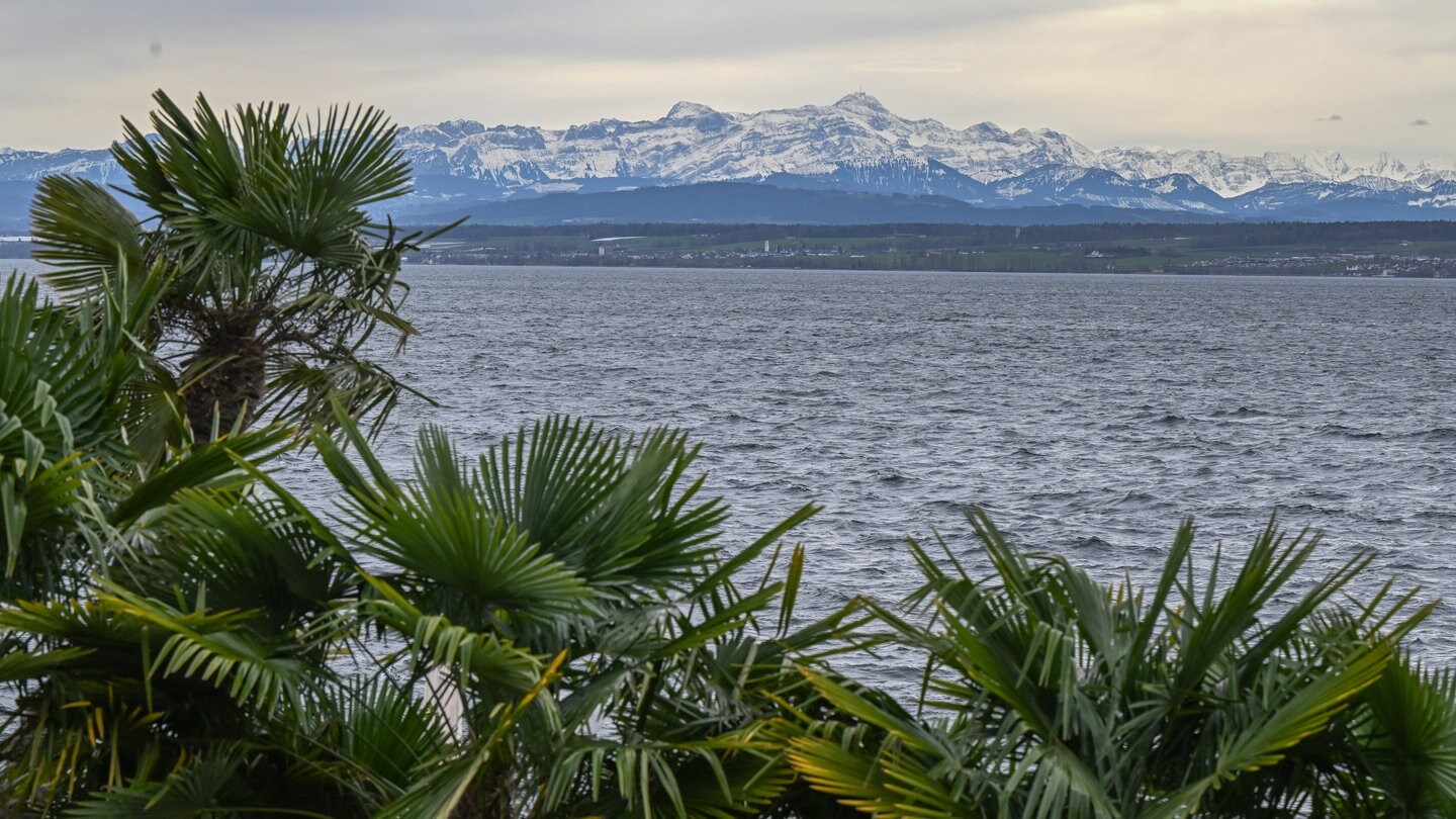 Milder Winter Mit Zu Wenig Schnee In Oberschwaben Und Am Bodensee SWR