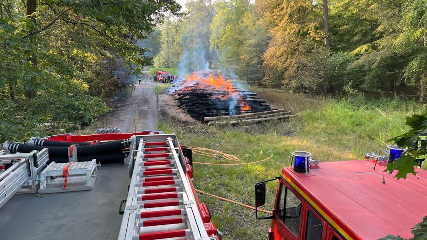 Nach Bränden im Hardtwald Mutmaßlicher Brandstifter in U Haft SWR