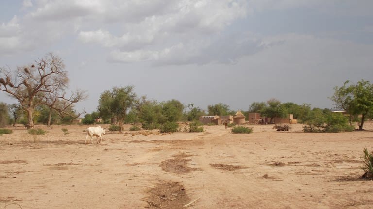 Wüstenartige Landschaftsszene mit Siedlung im Hintergrund in Burkina Faso