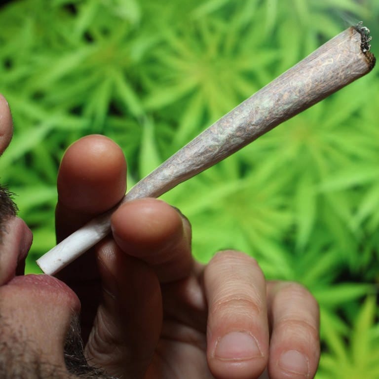 Cannabis-Pläne der Bundesregierung lösen im Südwesten Sorgen aus. (Foto: IMAGO, imagebroker)