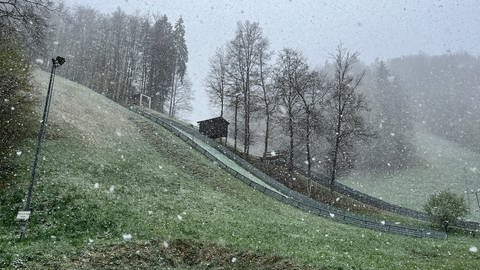 Wintereinbruch auch auf der Zollernalb. In Meßstetten rieselt es Schnee. (Foto: SWR)