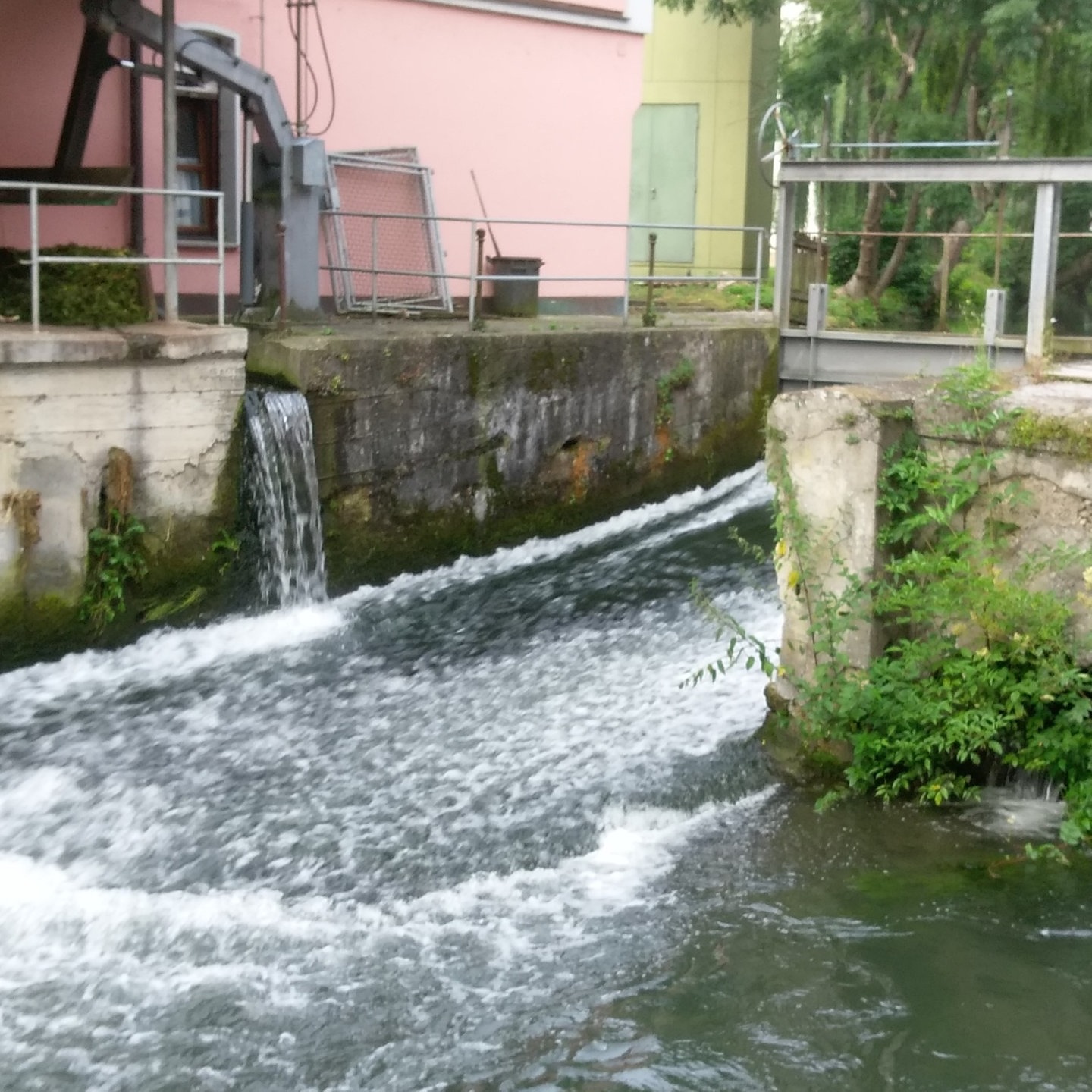 Gundelfingen Vierj Hriger Vor Ertrinken In Der Brenz Gerettet Swr