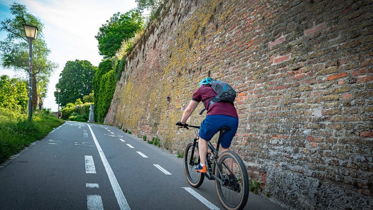 Der Donauradweg zieht jedes Jahr tausende Touristen in die Region. Mittlerweile sind immer mehr von ihnen auch mit einem E-Bike unterwegs. Das hat eine Umfrage eines Verbands in Ulm ergeben. (Foto: IMAGO, IMAGO Ritter)