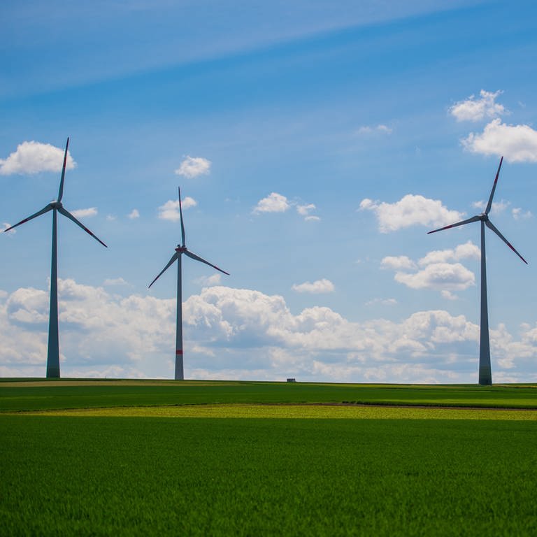 Vier Windkraftanlagen stehen auf einem Feld. Der Ausbau in Rheinland-Pfalz kommt allmählich voran.