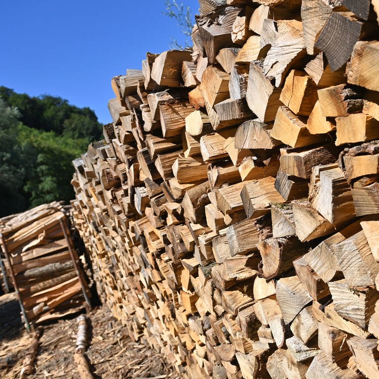 Wer sein Brennholz beim Forstamt kaufen möchte, muss sich beeilen. Die Verantwortlichen gehen davon aus, dass die Nachfrage aufgrund der Energiekrise enorm sein wird. Voraussichtlich werde nicht jeder so viel Brennholz bekommen, wie gewünscht.