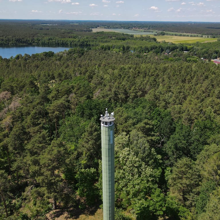 Ein Feuerwachturm in Brandenburg, ausgerüstet mit Funktechnik und Kamera. Eine solche Überwachung ist im Pfälzerwald derzeit noch nicht möglich. Sie könnte dabei helfen, einen Waldbrand frühzeitig zu erkennen.