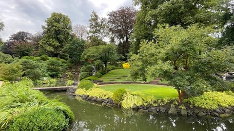 Rund 60.000 Gäste haben in diesem Sommer den Japanischen Garten in Kaiserslautern besucht.
