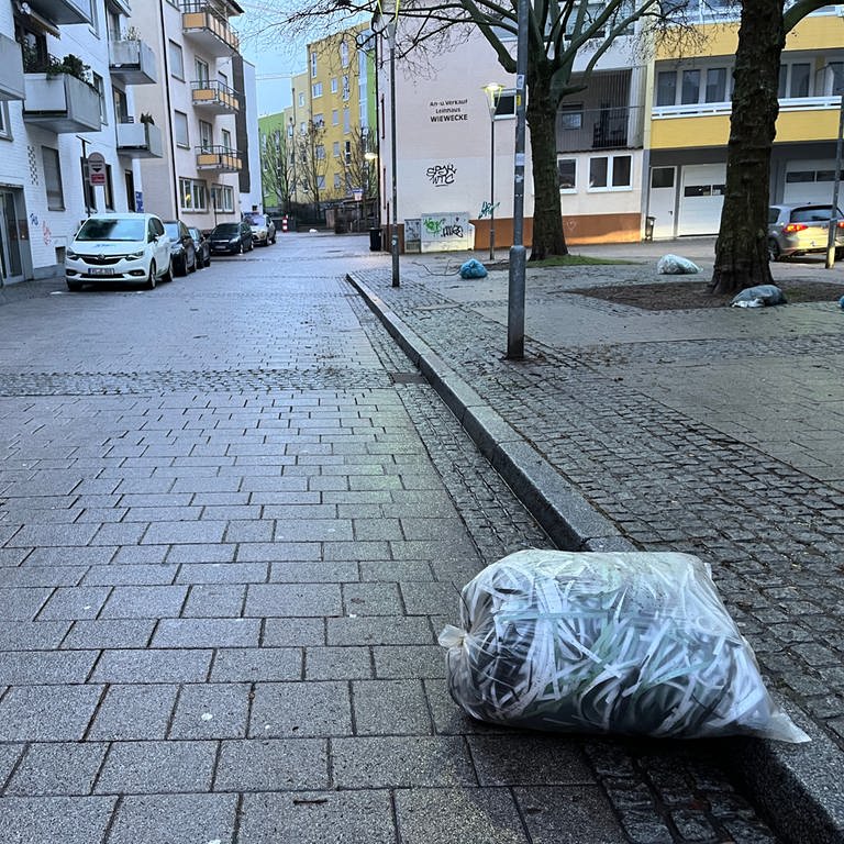 Wegen des Sturms am Donnerstag sind auch in Kaiserslautern wieder Müllsäcke herumgeflogen.