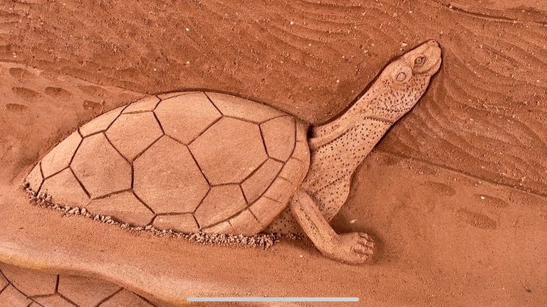 In Lebensgröße erwartet auch diese Sand-Schildkröte die Besucher auf der Gartenschau.  (Foto: SWR)