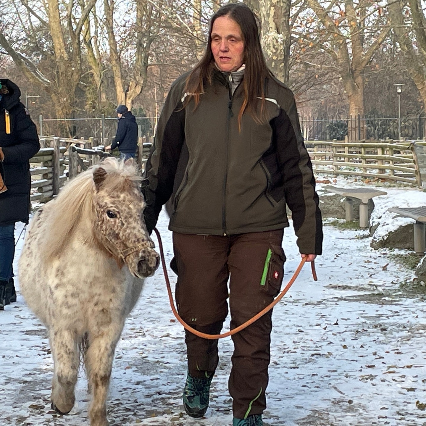 Ludwigshafen Misshandelte Tiere Ziehen Um SWR Aktuell