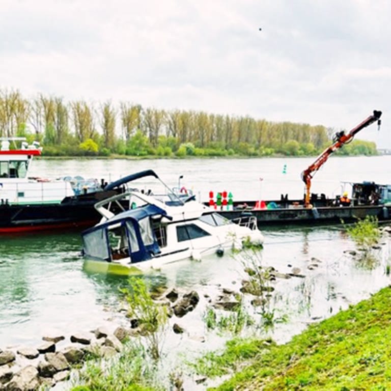 Sportboot in Speyer gesunken (Foto: Polizei)