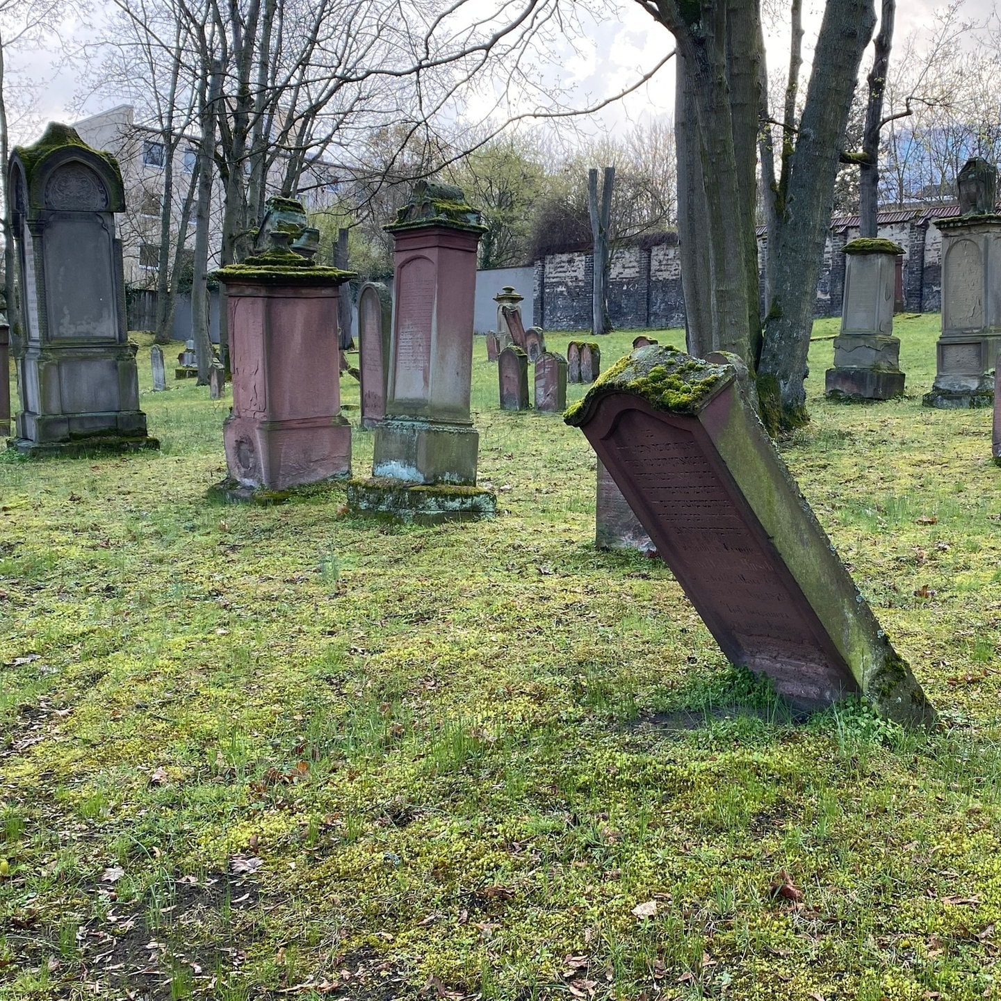 J Discher Friedhof Mainz Das Weltkulturerbe Wird Restauriert Swr Aktuell