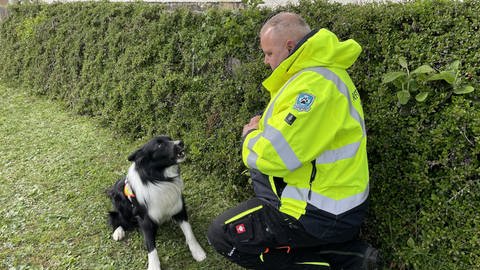 Willi bellt den Vermissten an: Suchhunde Rheinhessen üben für ersten Rettungseinsatz (Foto: SWR)