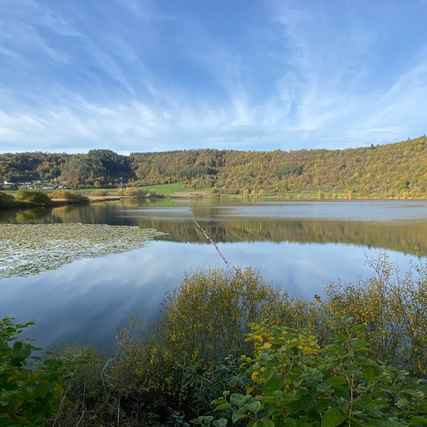 Nach Blaualgen Alarm Baden im Meerfelder Maar wieder möglich SWR Aktuell