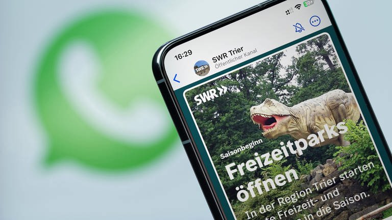 Bildmontage: Smartphone auf dem der WhatsApp-Kanal SWR Studio Trier geöffnet ist. Dort finden Sie regionale Nachrichten von der Mosel, aus der Eifel oder dem Hunsrück. 