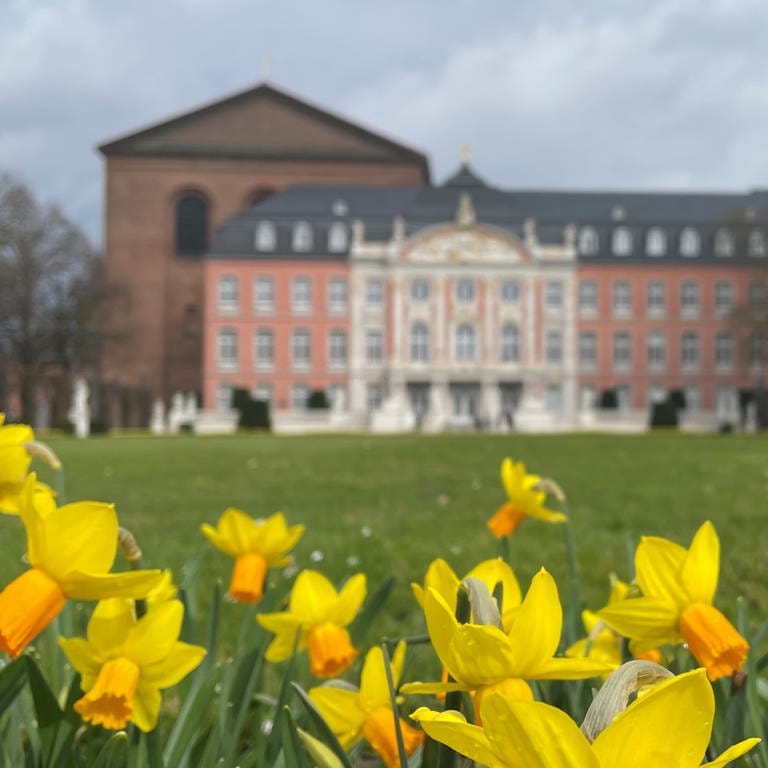 Frühlingsboten im Palastgarten in Trier. (Foto: SWR)