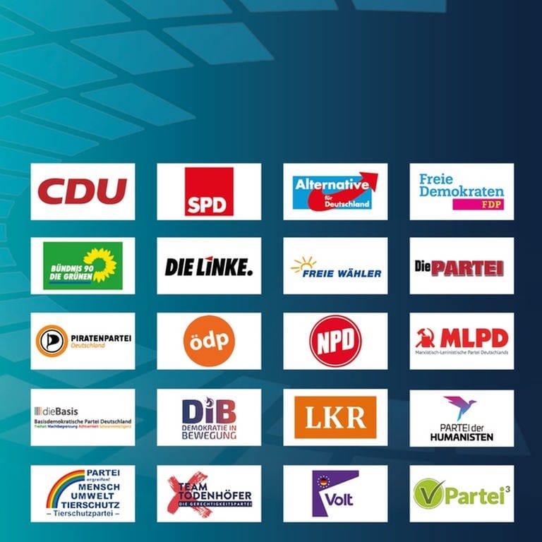 Die 20 Logos der Parteien in Rheinland-Pfalz, die bei der Bundestagswahl antreten (Foto: Parteien)