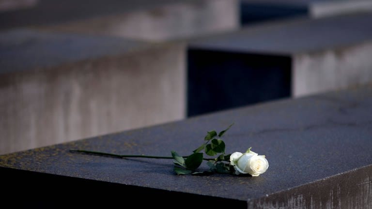 Eine weiße Rose auf dem Holocaust-Mahnmal Berlin