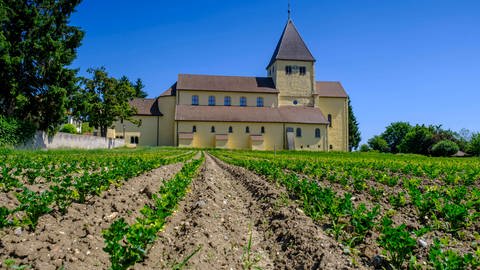 Klosterinsel Reichenau: Pfarrkirche St. Georg (Foto: IMAGO, IMAGO / imagebroker)