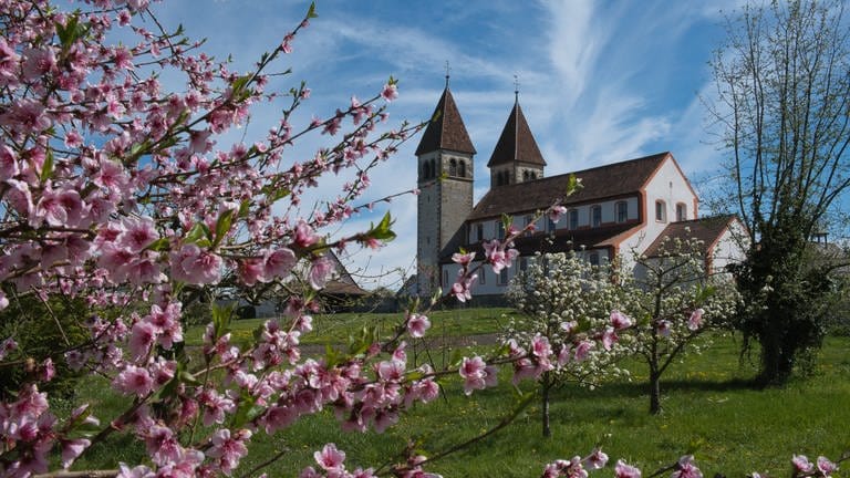 Klosterinsel Reichenau: St. Peter und Paul (Foto: IMAGO, IMAGO / bodenseebilder.de)