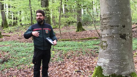 Förster Julian Gröber steht im Wald neben einem Baum mit Einritzungen in der Ringe und erklärt die Geschichte hinter den Zeichen. (Foto: Eike Jablonski)