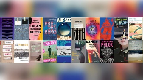 Diese Bücher sind auf der Longlist des Deutschen Buchpreises 2022 SWR