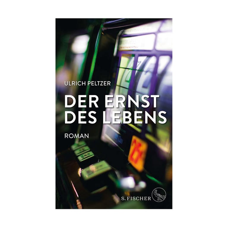 Cover des Buches Ulrich Peltzer: Der Ernst des Lebens