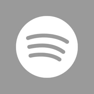 Logo Spotify (Foto: Pressestelle, SWR / Presse)