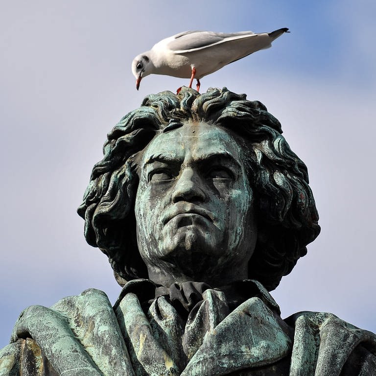 Beethoven-Statue (Foto: picture-alliance / Reportdienste, Martin Meissner)