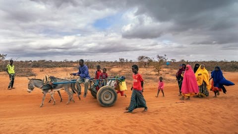 Eine Gruppe von Menschen erreicht 2022 ein Flüchtlingslager am Stadtrand von Dollow in Somalia. Somalia erlebte die schlimmste Dürre seit jeher. Mitverantwortlich ist der Klimawandel.