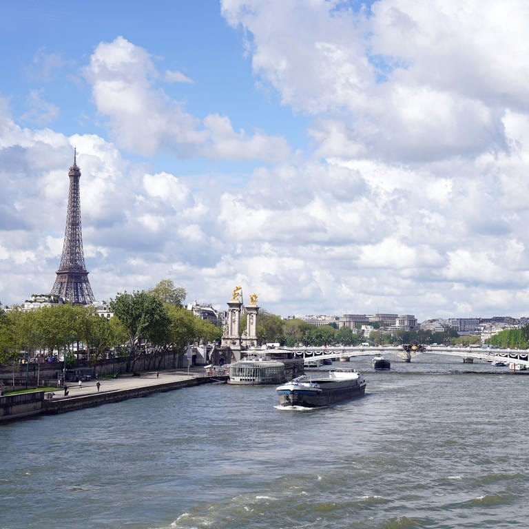 River Seine in Paris (Foto: picture-alliance / Reportdienste, picture alliance / empics | Gareth Fuller)