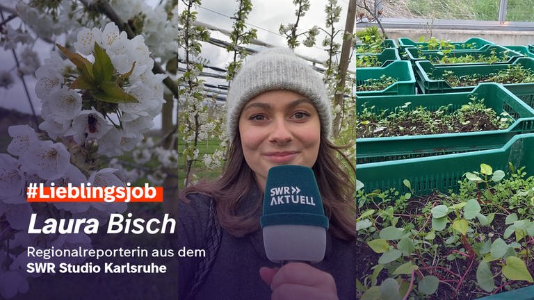 Regionalreporterin Laura Bisch aus dem SWR Studio Karlsruhe hat einen Lieblingsjob (Foto: SWR)