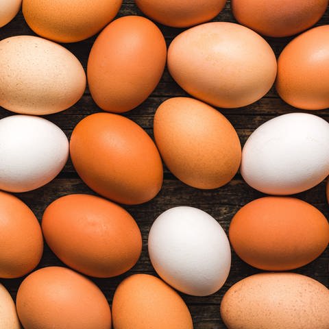 Braune und weiße Eier: Eierschalen bestehen hauptsächlich aus Kalk und Kalk ist weiß – das ist also die Grundfarbe der Eier. Braune Eier haben verschiedene Pigmente, weiße Eier haben keine Pigmente. Ob ein Huhn weiße oder pigmentierte Eier legt, ist ausschließlich eine Frage der Gene und damit eine Frage der Hühnerrasse.