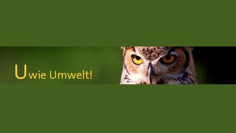 U wie Umwelt