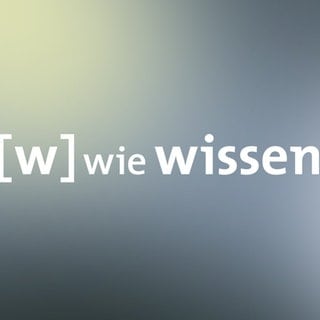 Logo W wie Wissen