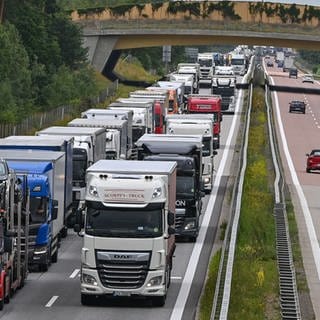 Lkw stauen sich auf der Autobahn A12 in Richtung Polen vor dem deutsch-polnischen Grenzübergang.