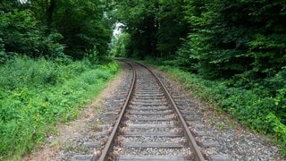 Schienen auf der Bahnstrecke Rinteln - Stadthagen