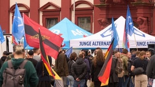 Anhänger der AfD und rechter Gruppierungen demonstrieren in Mannheim gegen eine Kundgebung von Bürgern gegen Extremismus und Gewalt. (Archivbild vom 02.06.2024)