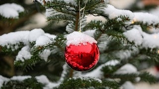 Schnee bedeckt einen Weihnachtsbaum und den Baumschmuck.