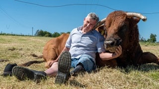 Mann mit Beinprothese einen Bullen streichelnd auf dem Feld sitzend.