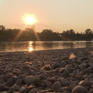 Ein Sonnenuntergang über einem ruhigen Gewässer in Baden-Württemberg. Zwei Personen sitzen auf einer Bank und genießen den Anblick des bunten Himmels.