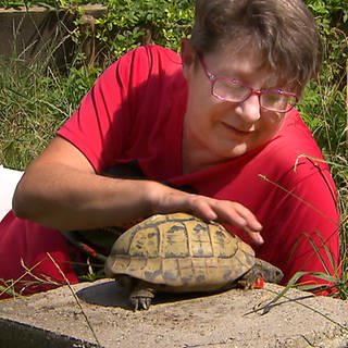 Rita Klein streichelt eine Schildkröte