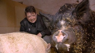 Silke Arnold rettet Schweine auf ihrem Hof in Imsweiler